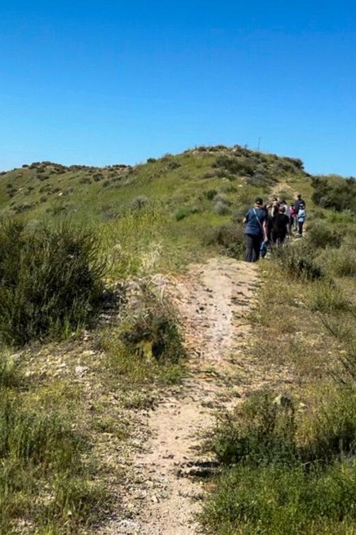 Trail-Hike-Santa-Clarita-520x780